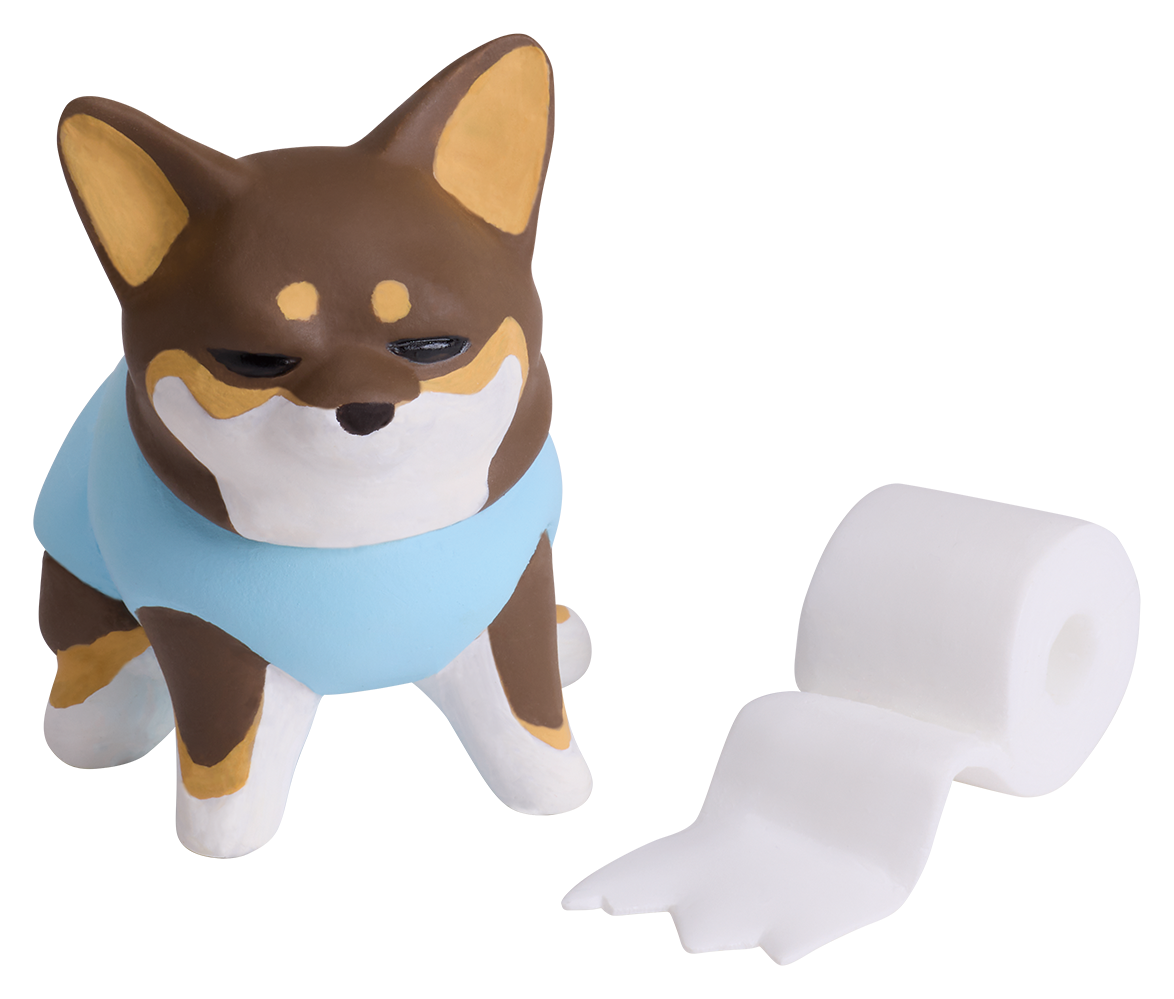 ちわわぐらし