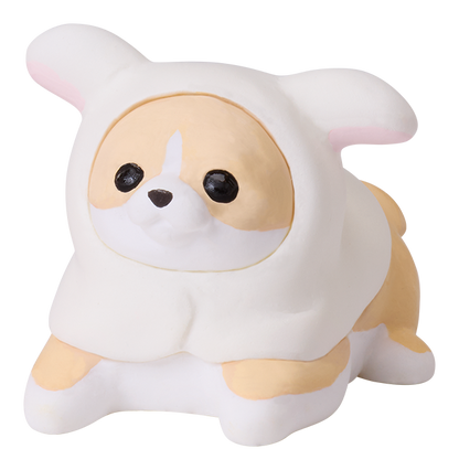 ちわわぐらし