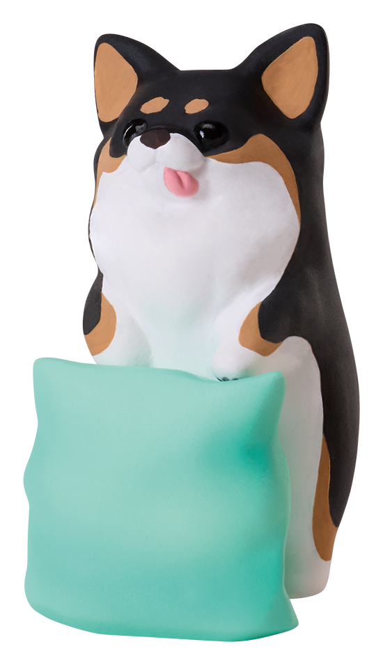 ちわわぐらし