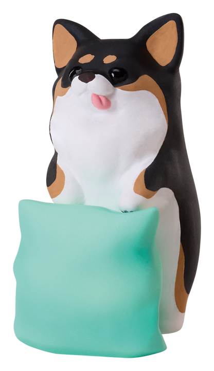 ちわわぐらし