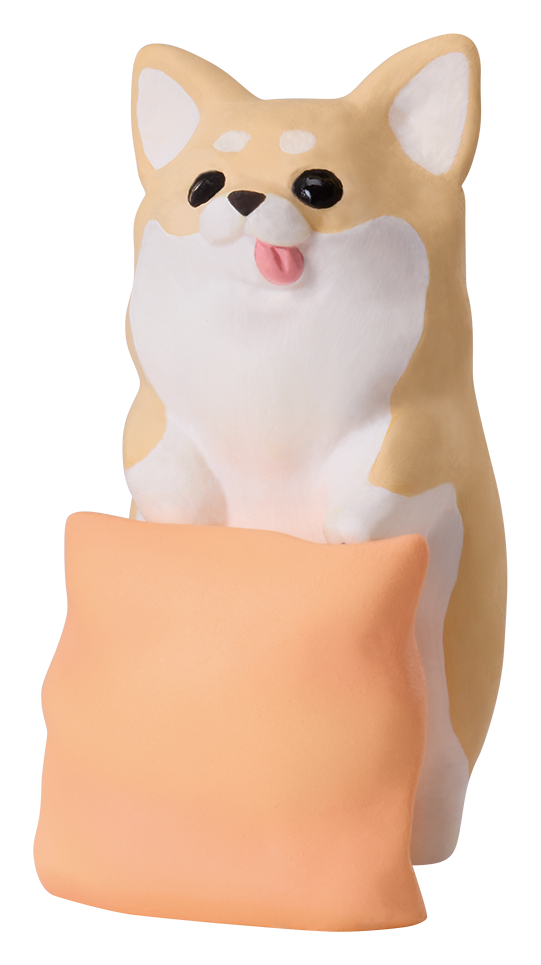 ちわわぐらし