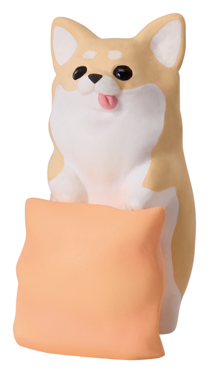 ちわわぐらし
