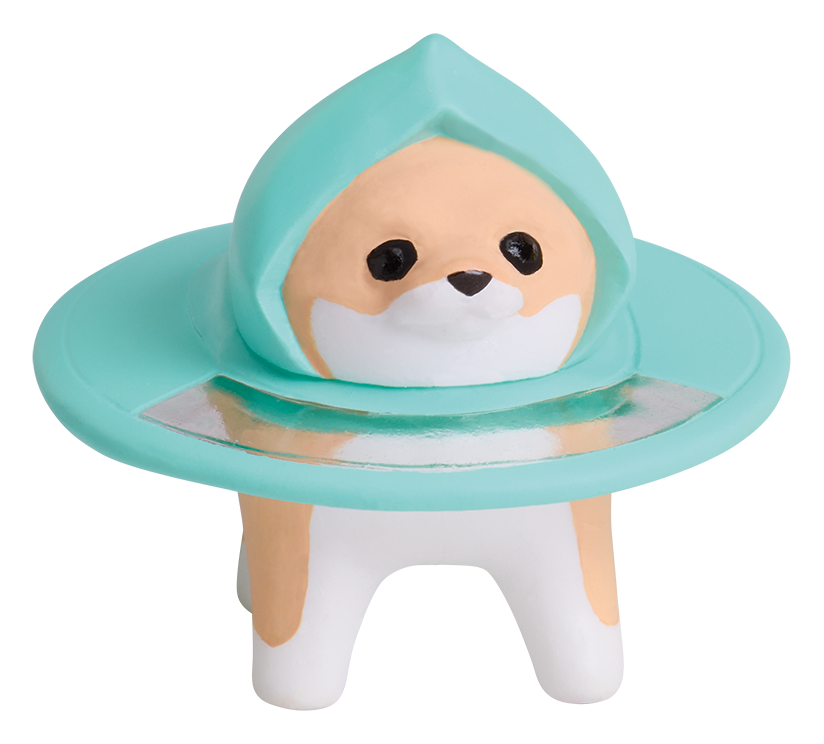 ちわわぐらし