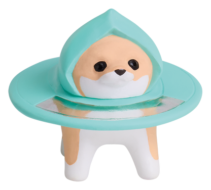 ちわわぐらし