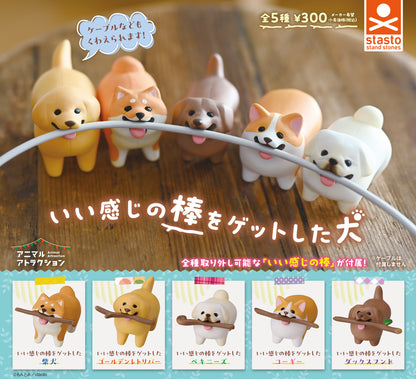 いい感じの棒をゲットした犬