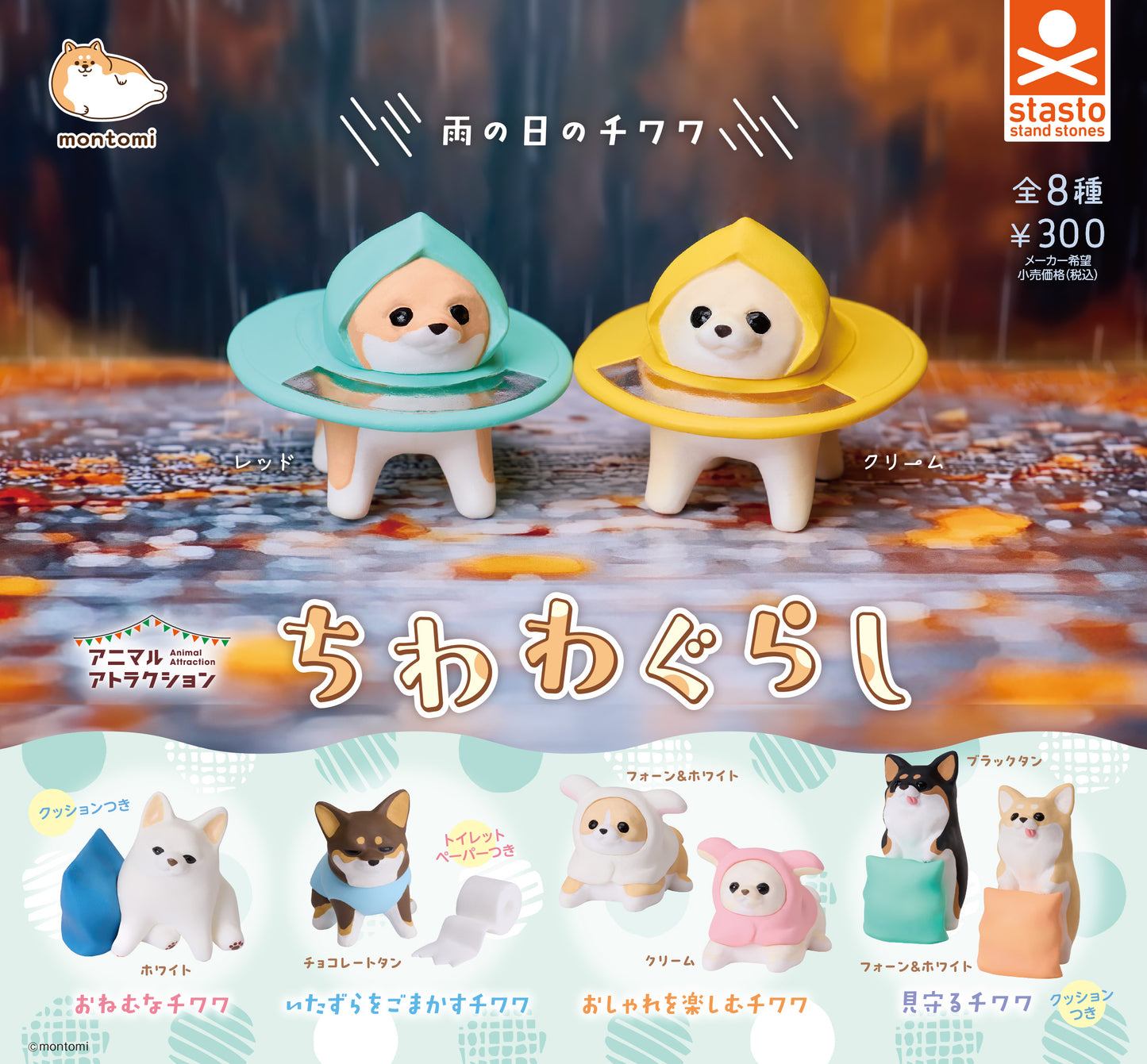 ちわわぐらし