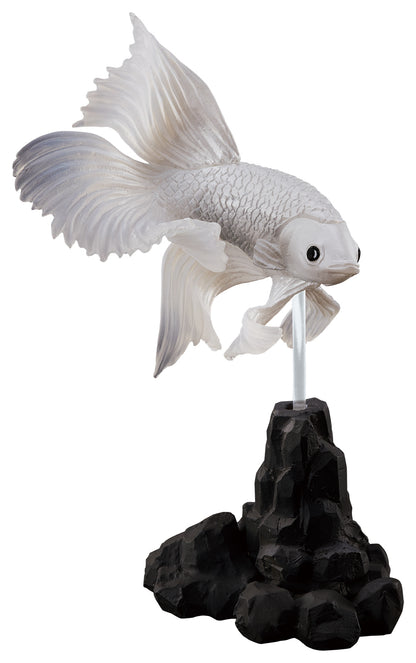 闘魚〜ベタ〜 奇奇奇 PVCフィギュア 白